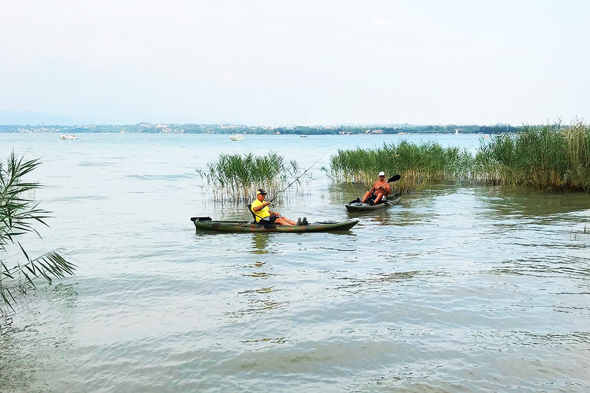 Pesca: informazioni e licenze