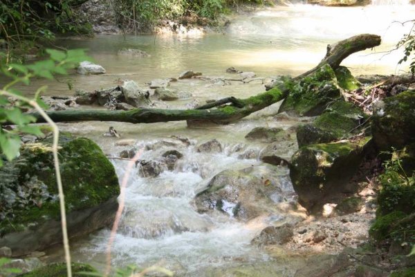 Stream near lessinia falls